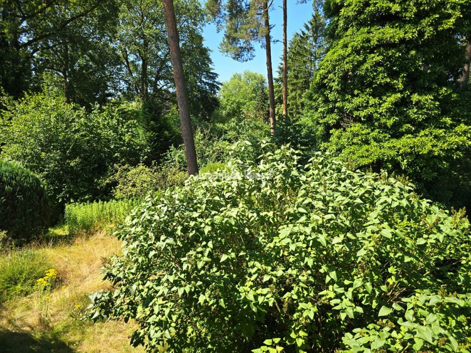 20260710_113156 Einfamilienhaus Wedemark