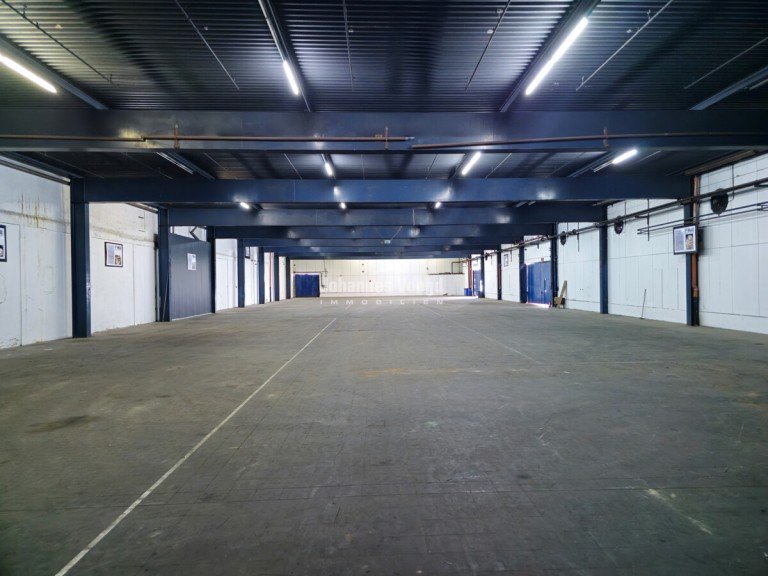 20250512_151506 Springe / Alferde Lager Lagerhalle mit Rampe und mit ebenerdigen Toranlagen zu vermieten