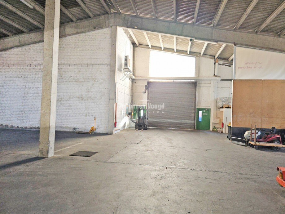 20260121_120235 Halle Algermissen